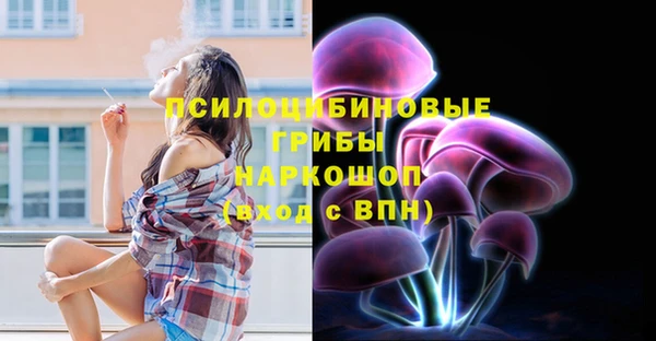 метадон Богородицк