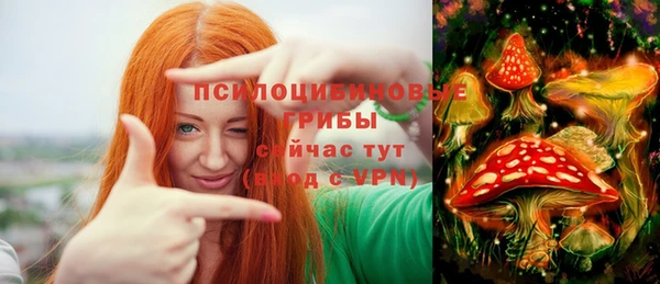 дурь Богданович