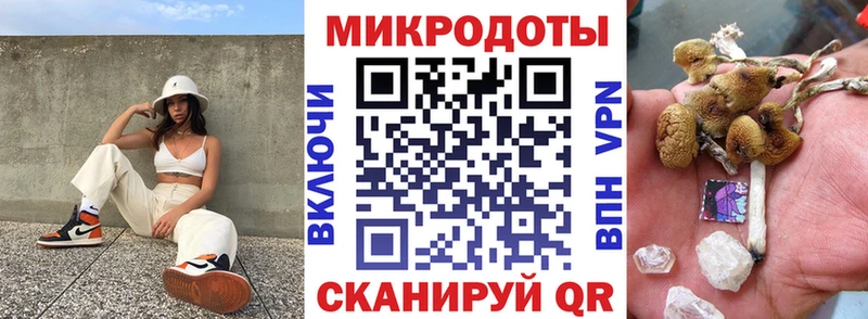 Галлюциногенные грибы прущие грибы  Бирюч 
